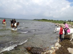 IMG_1348_web